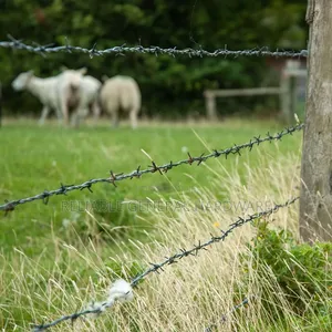 Barbed Wire Installation Services/Activity