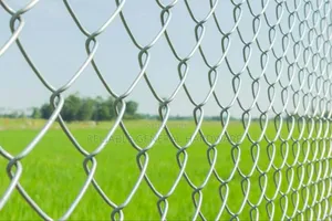 Chainlink Link Fencing Services