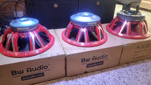 Big Bass Speaker Bw100dx 2000w