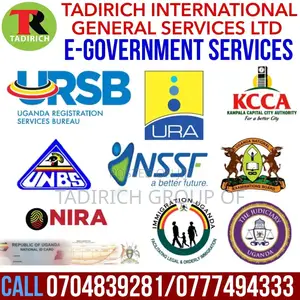 E-Government Services Facilitation