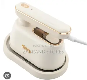 DSP Travel Steam Iron