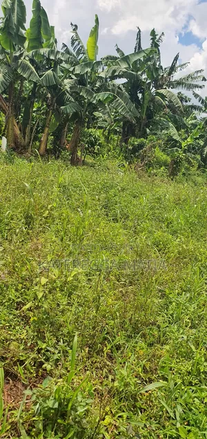 Land for Sell