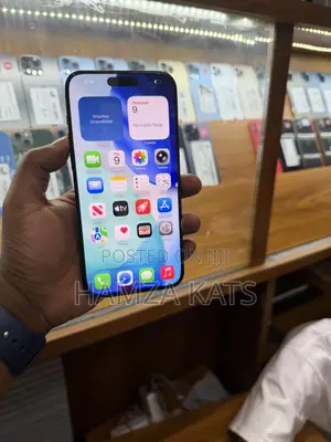 Apple iPhone 15 Pro Max 256 GB Black