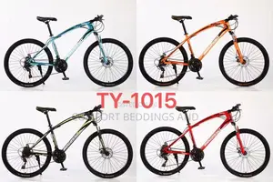 Python Adult Bicycle