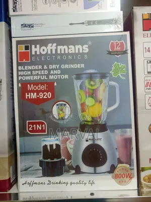 2-in-1 Electric Blender Dry Grinder.