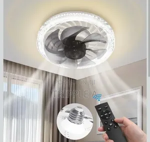 Modern 2 in 1 Ceiling Fan and Light
