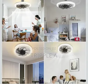 Modern 2 in 1 Ceiling Fan and Light