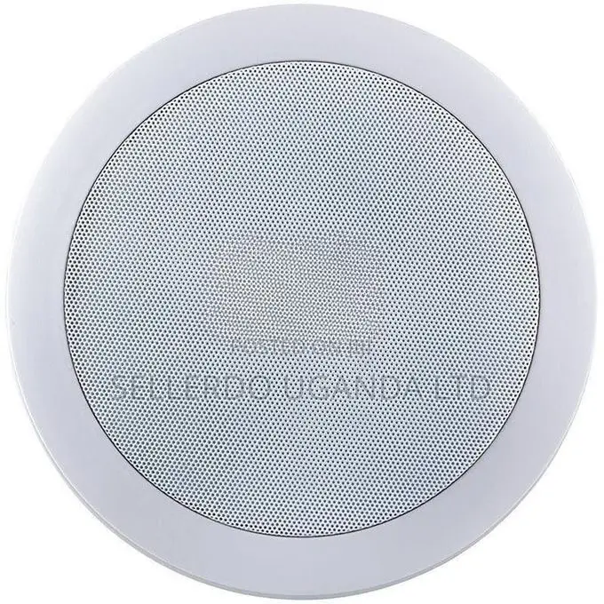 Ceiling Mountable Public Address System Speaker