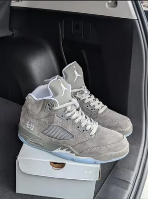 The of Nike Air Jordan 5 Retro Sneakers in the Wolf Grey Colorway. Man