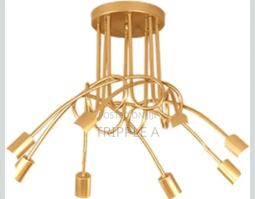 Curved Design Hanging Light
