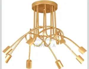Curved Design Hanging Light