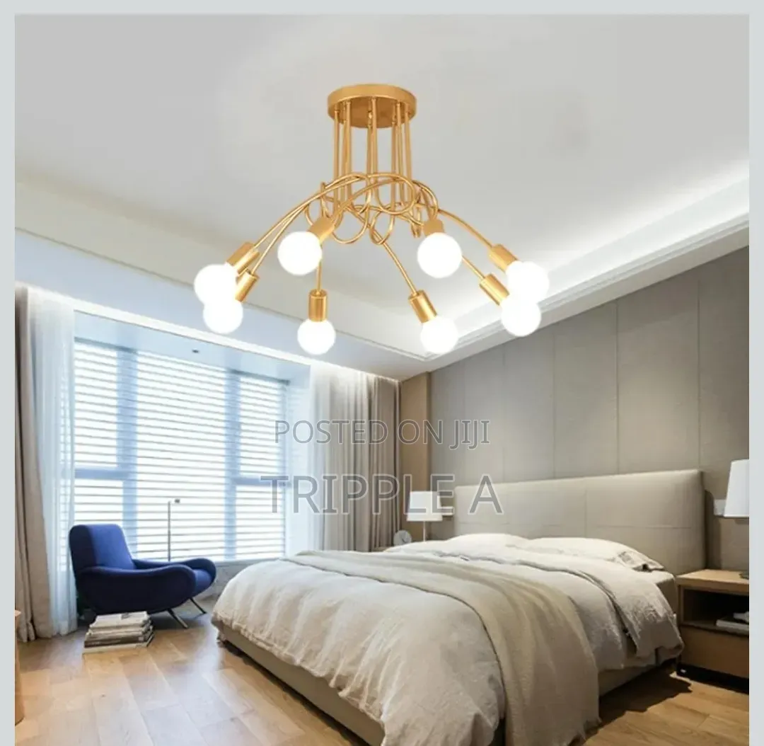 Curved Design Hanging Light