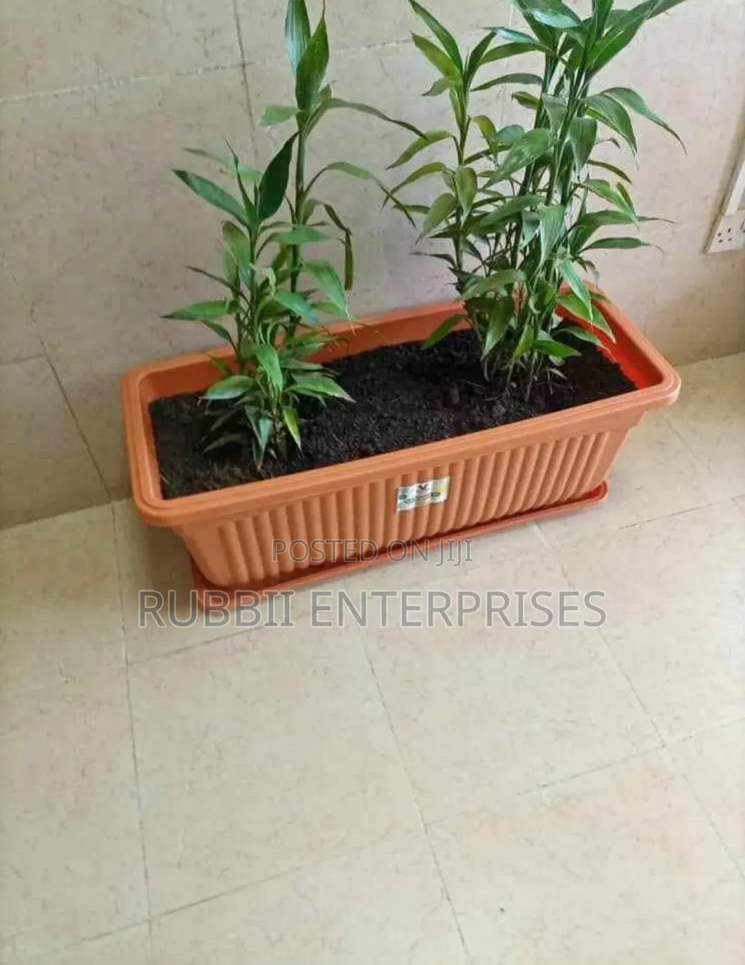 Rectangular Plastic Planter+ Drip Tray