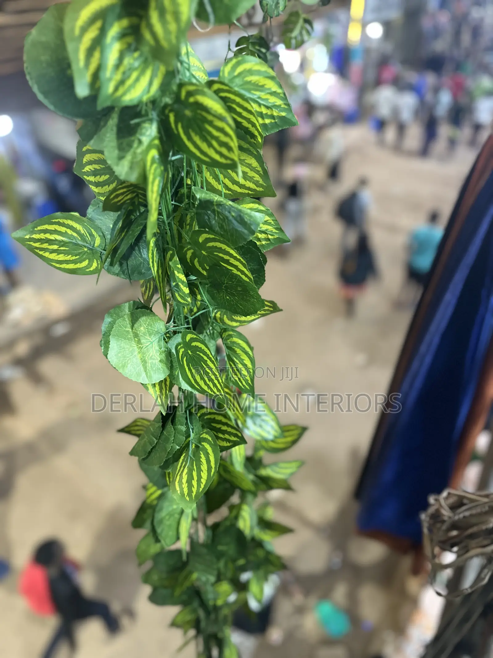 New Quality Artificial Grass ( Dark Green )And Climbing Plants