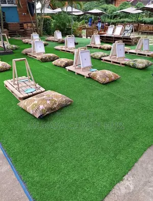 Premium Artificial Grass Carpet for Homes Compounds