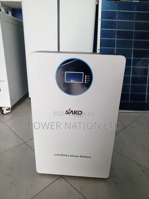 2.5kwh 24v Sako Lithium Iron Phosphate Battery