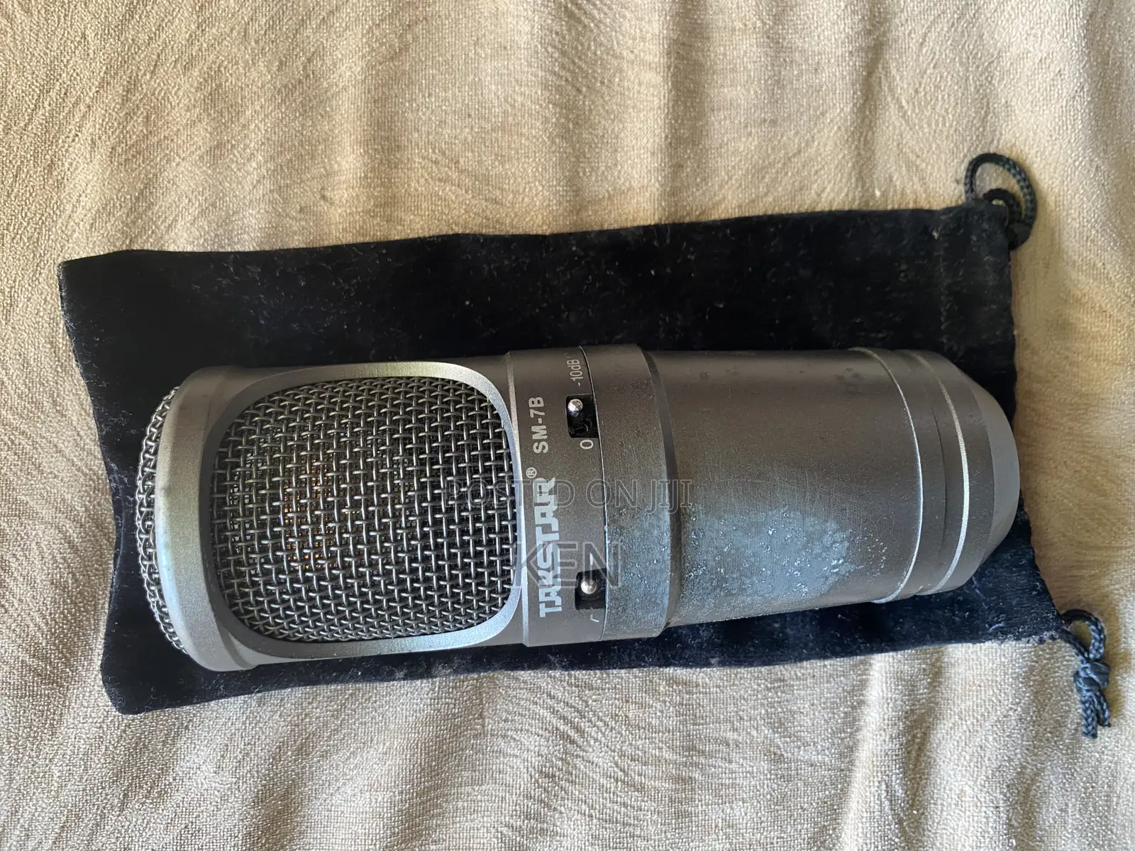 Takstar Sm-7b Condenser Microphone.