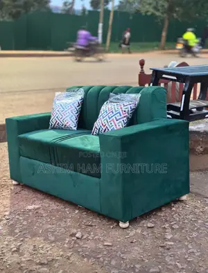 Two Seater/Grean Sofa