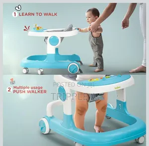 2 in 1 Push Walker and Walking Ring