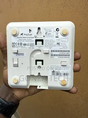 Ruckus Zoneflex R300