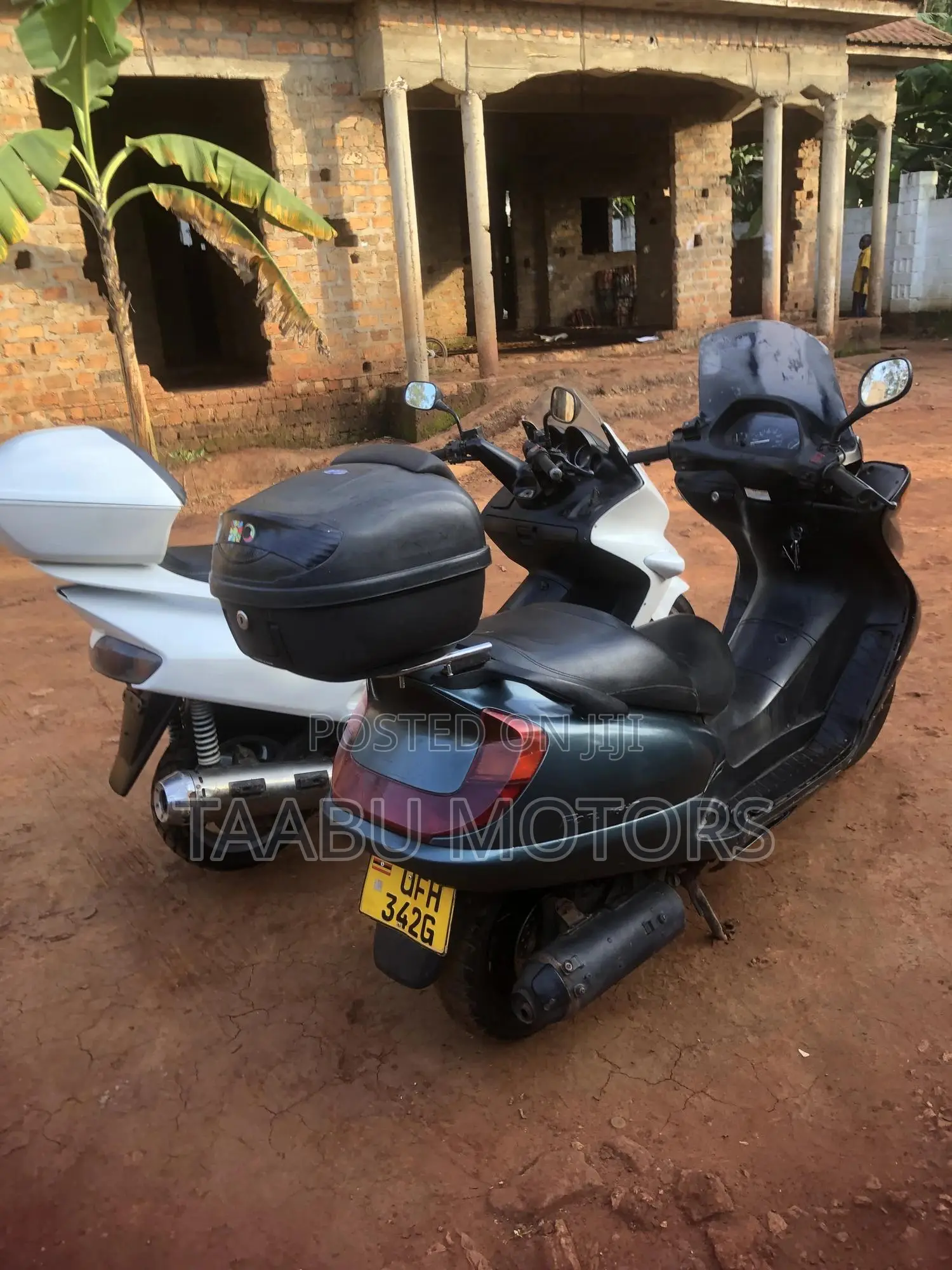 Honda 2001 Green