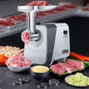 Winning Star Electric Meat Grinder