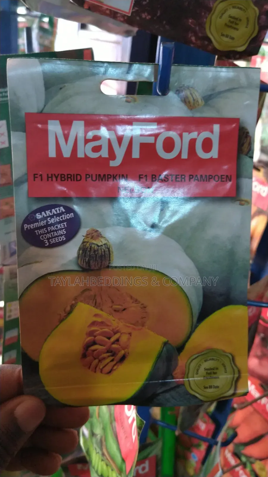Mayford F1 Hybrid Nelson Pumpkin Seeds Pack