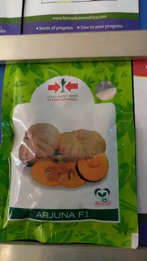 East West Seed Arjuna F1 Pumpkin Seeds 50g