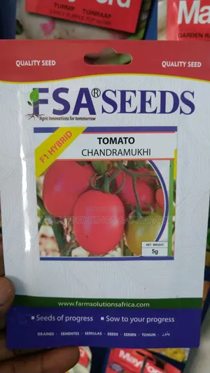 Fsa Hybrid F1 Tomato Seeds-5gm