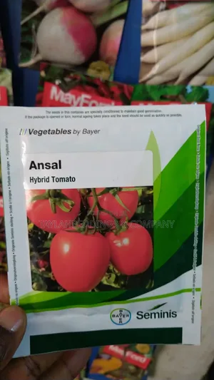 Ansal Hybrid F1- 3500 Seeds