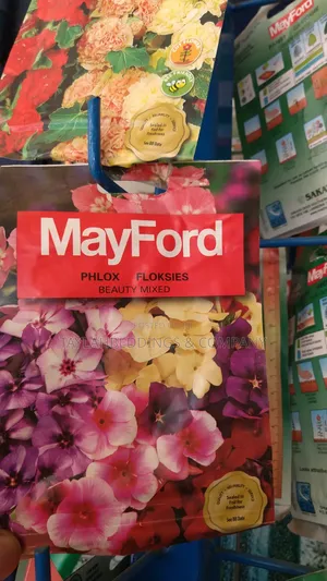 Phlox Rare Color Mixed Flower Seeds for Gardening