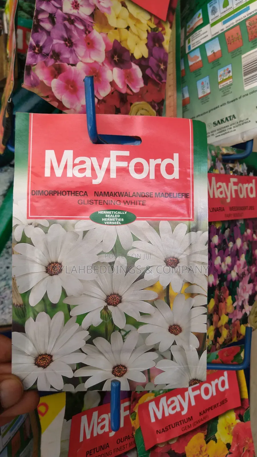 Glistening White Flower Seeds