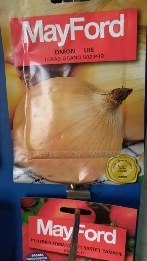 Texas Grano Onion 502 PRR