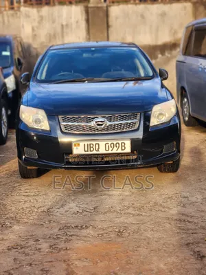 Toyota Corolla Fielder 2009 Black
