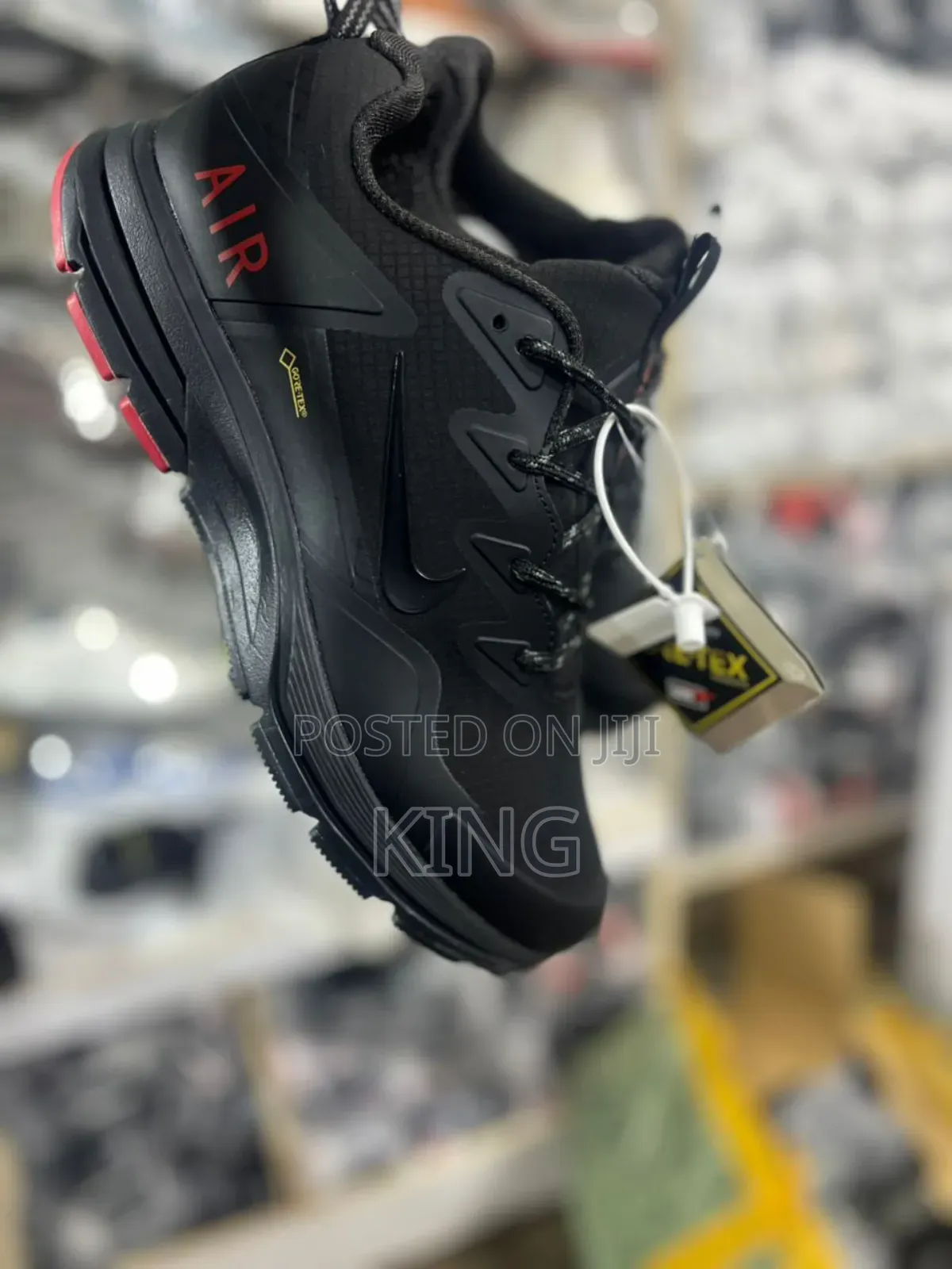 Nike Pegasus 41 Gore-Tex Model Shoes