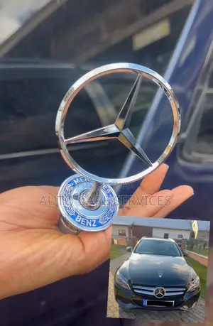 Car Logo Bumper Emblem