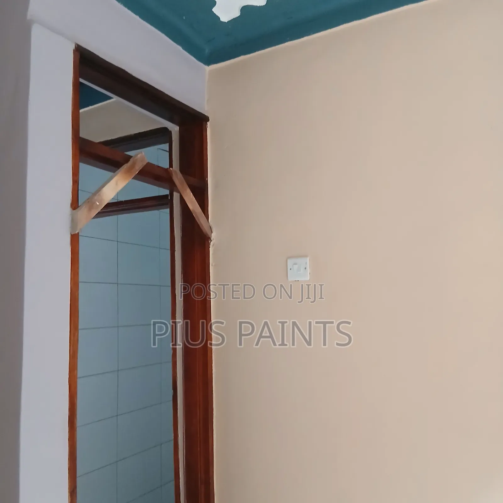 Interior And Exterior Paint