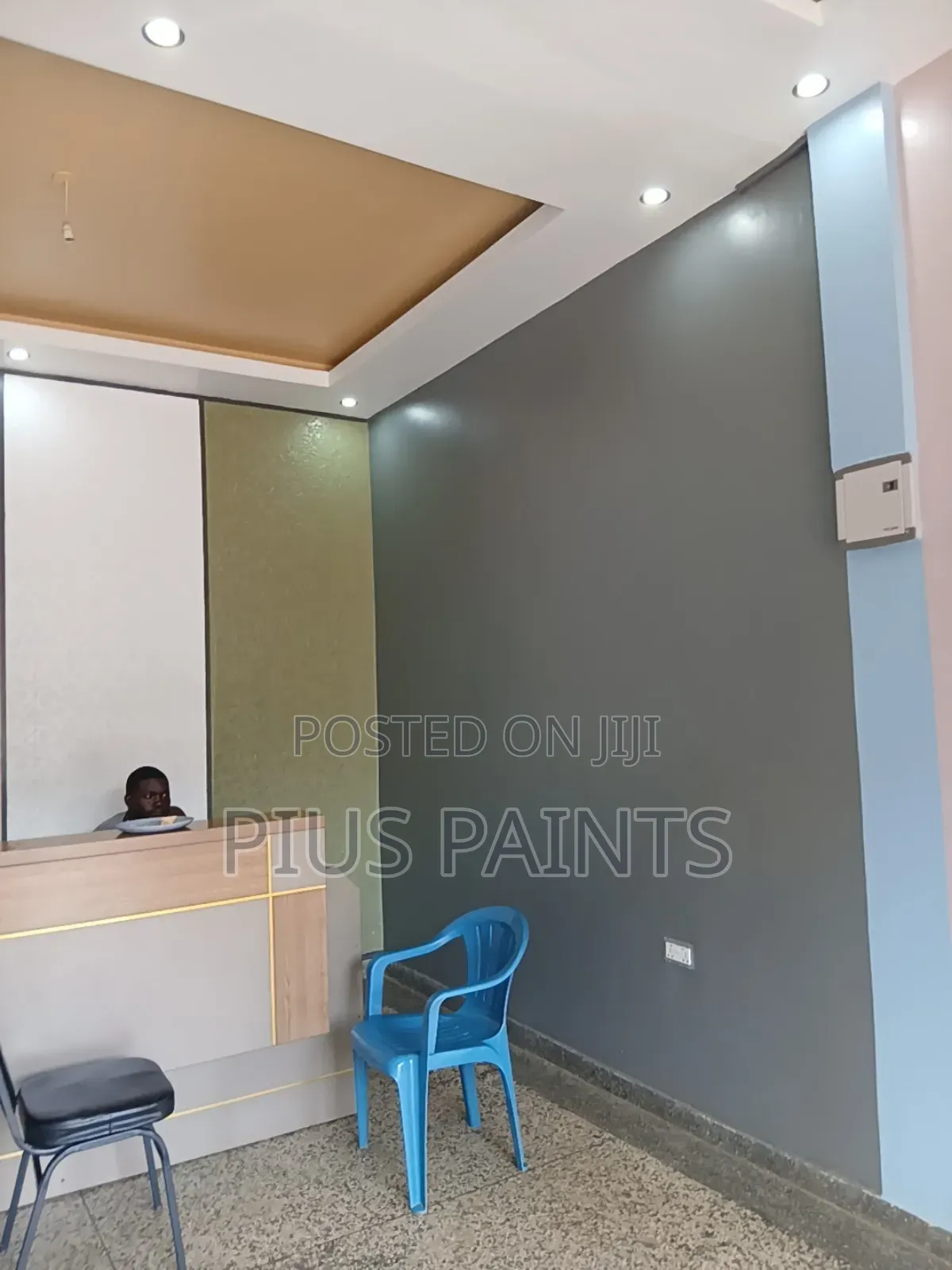 Interior And Exterior Paint