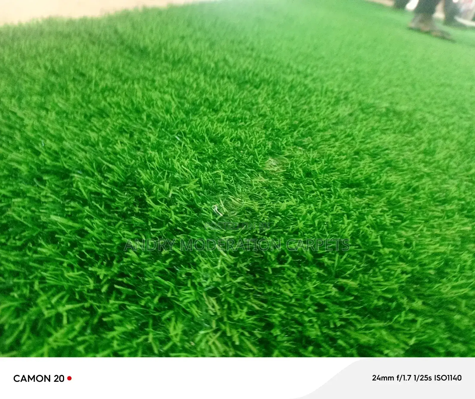 Garden Grass Carpets