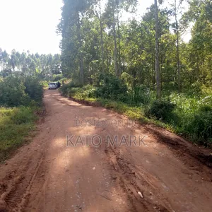 12 Acres for Sale Located at Mukono Mbalala