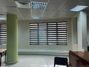Window Zebra Blind Curtains