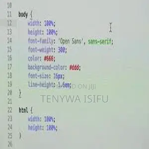 Website Design