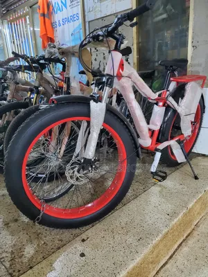 Fat Tire Bike