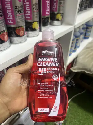 Engine Cleaner