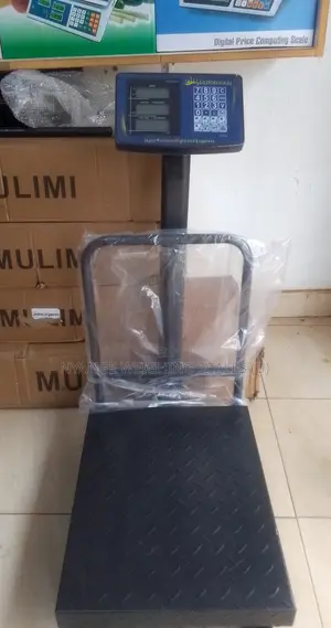 Digital Electronic Weigh Scale Weigh 300kg Electronic Weighing Scale