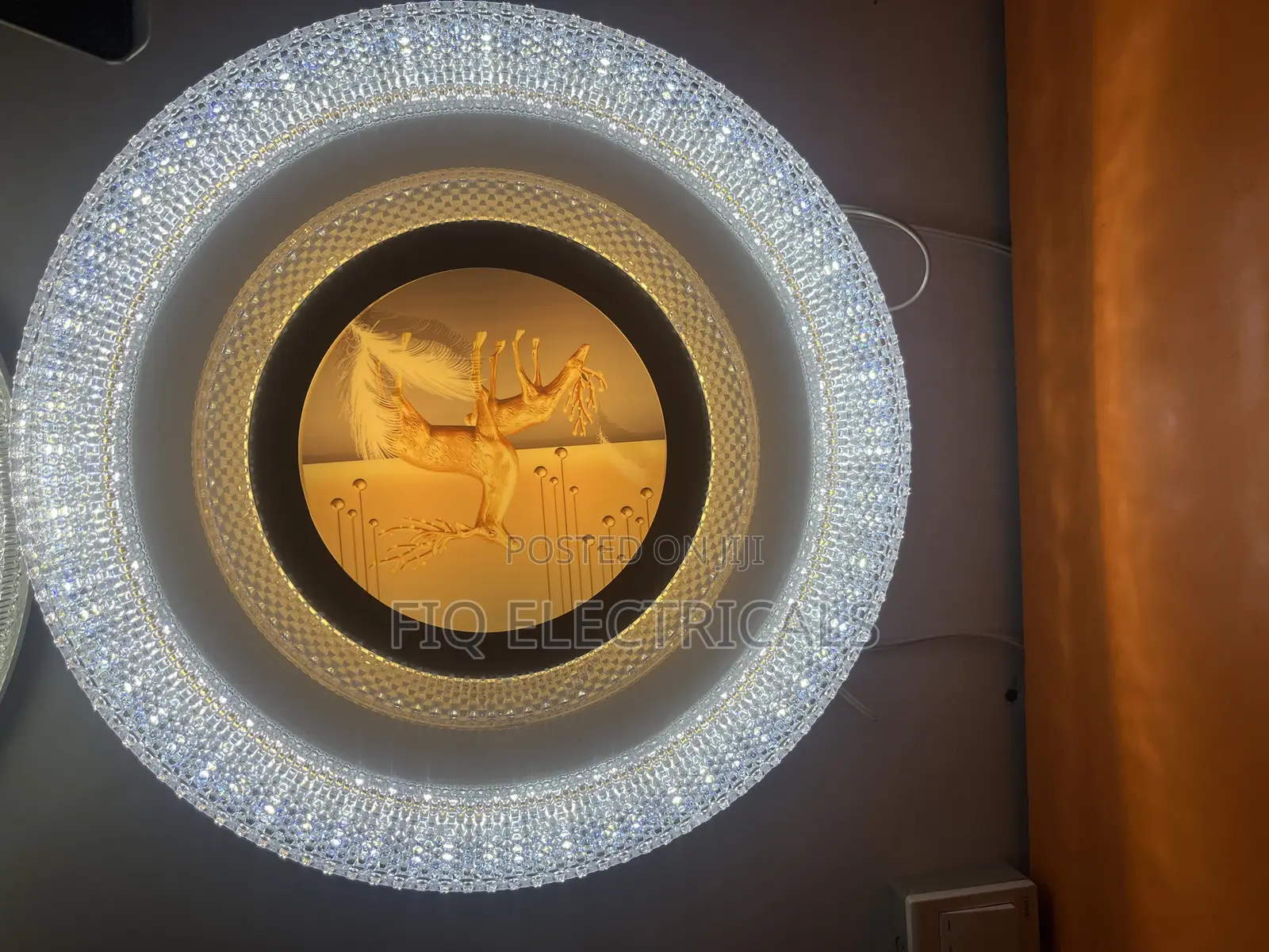 Ceiling Light