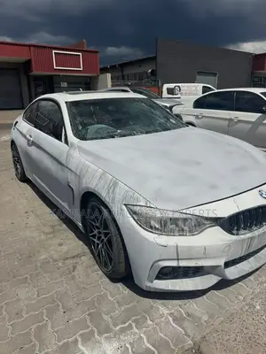 Car Body Spraying Finishing