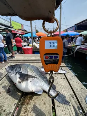 Portable Weighing Scale Accurate Weigh Result Portable Weighing Scale
