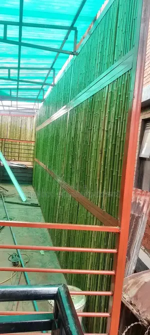 Bamboo Wall Pannels