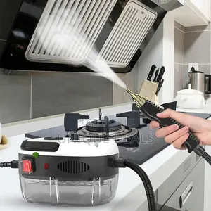 Portable Pressure High Temperature Steam